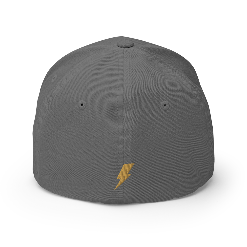 Built For This Cap (Flexfit 6277) — Grey (back)